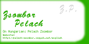 zsombor pelach business card